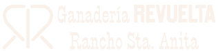 Logo Santa Anita